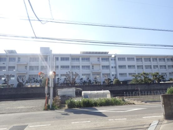 松山市立石井東小学校の画像