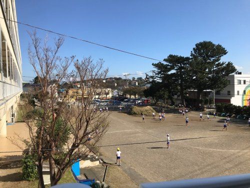 稲取小学校の画像