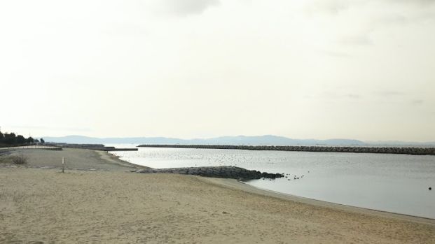 西岡海浜公園の画像