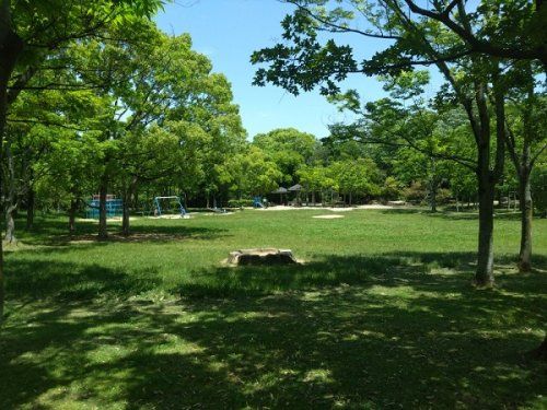 藤沢台公園の画像