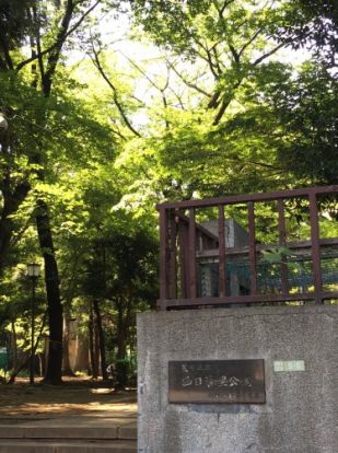 荒川区立 西日暮里公園の画像