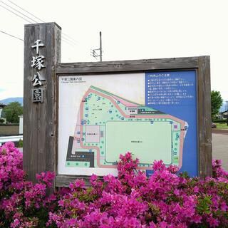 千塚公園の画像