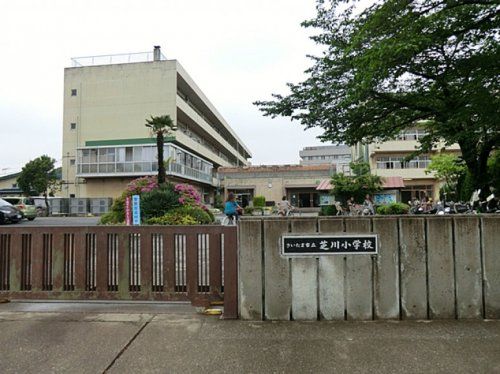 さいたま市立芝川小学校の画像