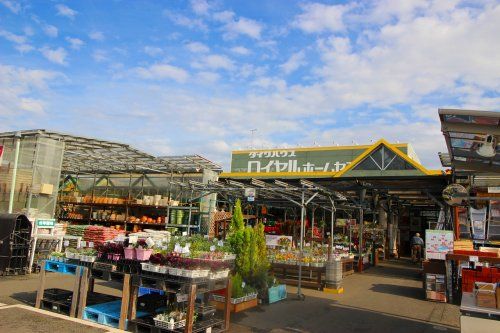 ロイヤルホームセンター梶ヶ谷店の画像
