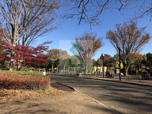 小金井公園の画像