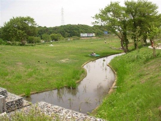 都川水の里公園の画像