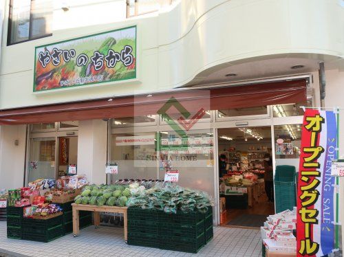 やさいのちからひばりヶ丘駅北通り店の画像