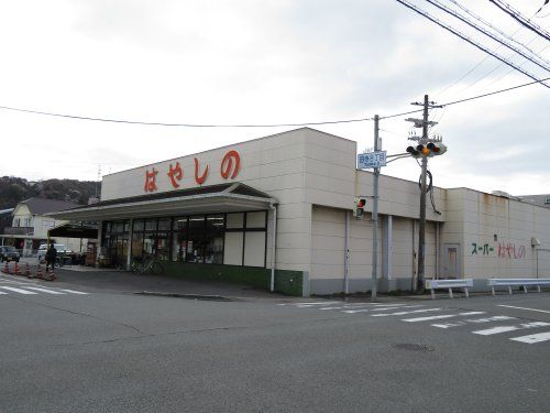 はやしの田寺店の画像