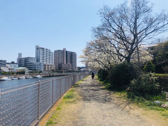 第3号境川緑地の画像