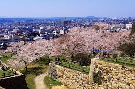 鳥取城跡・久松公園の画像
