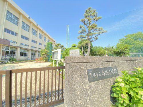 熊本市立高橋小学校の画像