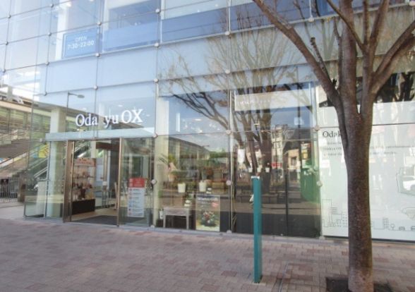 Odakyu OX(小田急OX) 経堂コルティ店の画像