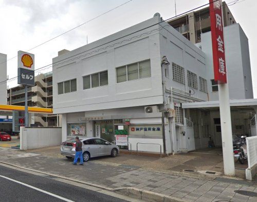 神戸信用金庫石屋川支店の画像
