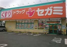 ドラッグセガミ鴻池店の画像