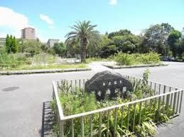寺嶋公園の画像