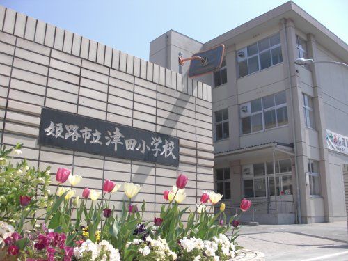 姫路市立津田小学校の画像