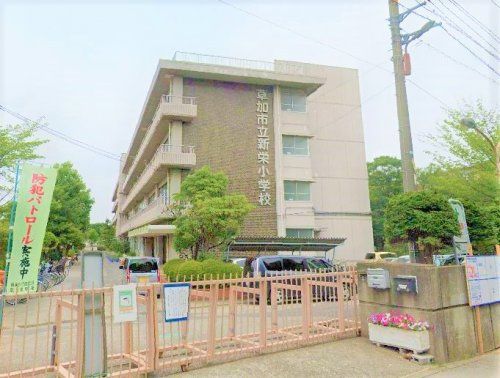 草加市立新栄小学校の画像