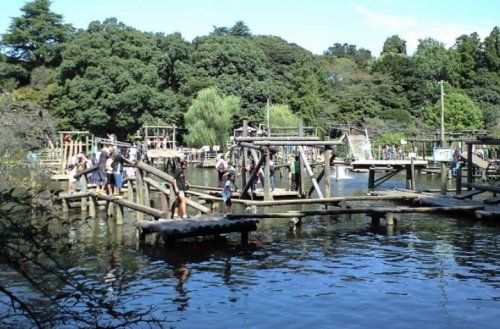 野田市清水公園キャンプ場の画像