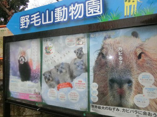 野毛山動物園の画像