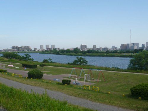 多摩川大橋緑地の画像