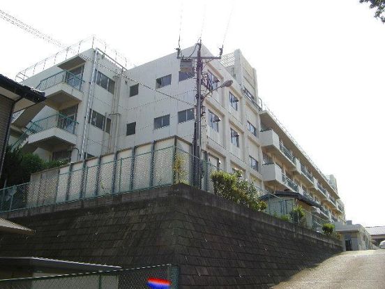 さいたま市立南浦和小学校の画像