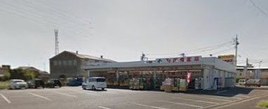 シバタ薬品　借宿店の画像