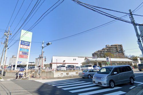 コープみらい コープ東寺山店の画像