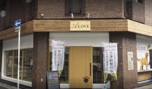 ドッグサロンA-LOVE南堀江店の画像