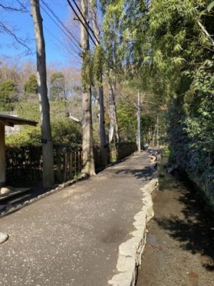 お鷹の道・真姿の池湧水群の画像