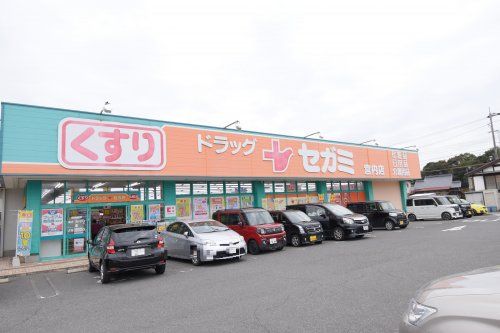 ドラッグセガミ 宮内店の画像