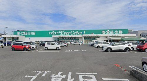 スーパーエバグリーン 宮前店の画像