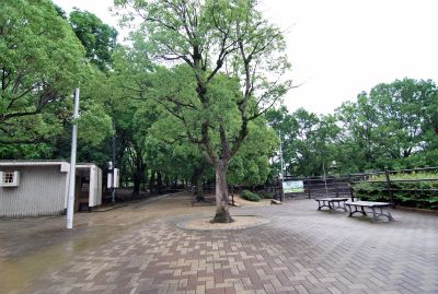 唐池公園の画像