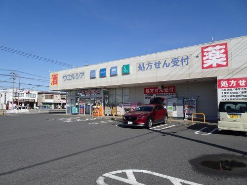 ウエルシア市原五井中央店の画像