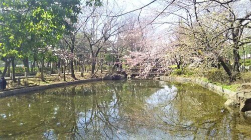 馬橋公園の画像