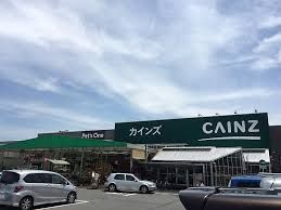 カインズホーム FC高崎東部店の画像