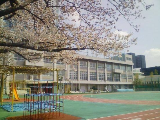 中央区立豊海小学校の画像