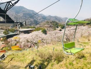 さがみ湖リゾート プレジャーフォレストの画像