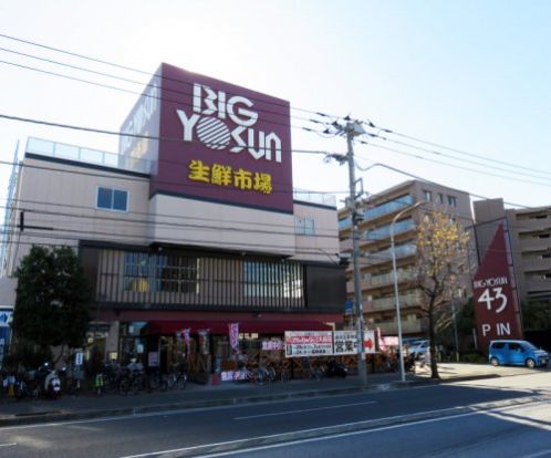 BIG YOSUN(ビッグヨーサン) 樽町綱島店の画像