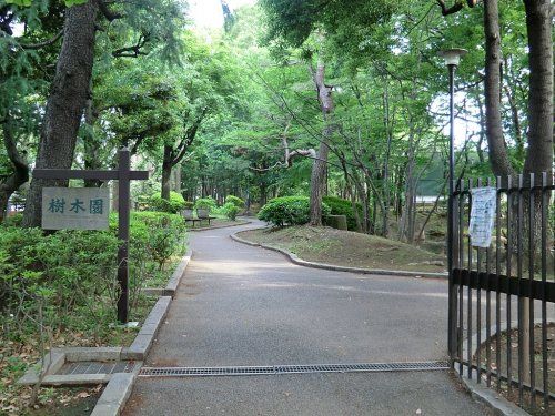 駒沢緑泉公園の画像