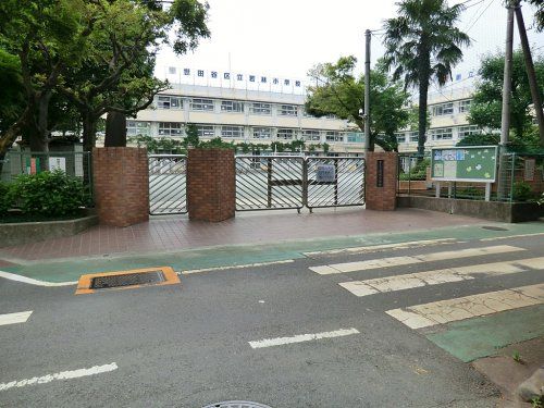 世田谷区立若林小学校の画像