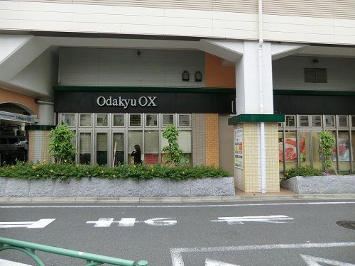 小田急OX千歳船橋店の画像