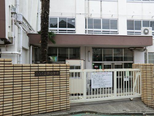 渋谷区立上原小学校の画像