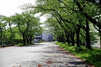 武蔵野公園の画像