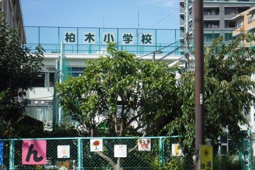 新宿区立柏木小学校の画像