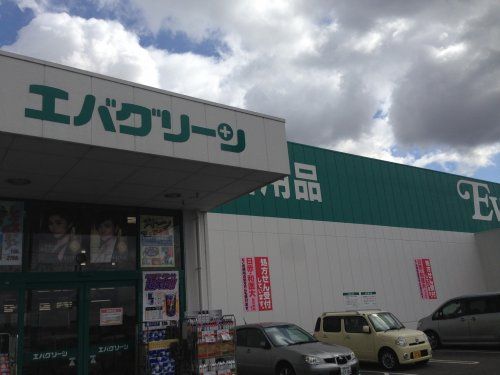 エバグリーン 岩出中迫店の画像