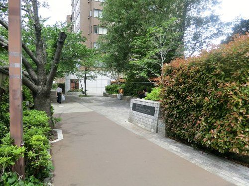 目黒川田道街かど公園の画像