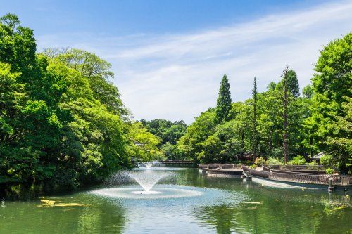 井の頭恩賜公園の画像