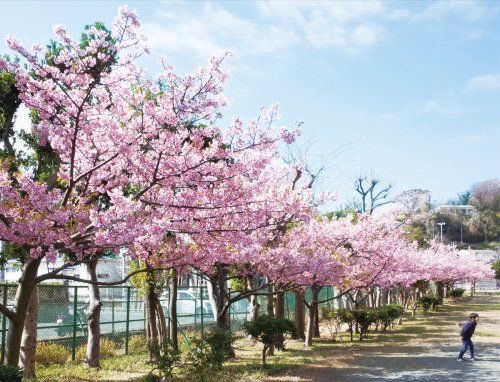 浦郷公園の画像