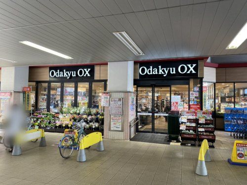 Odakyu OX 梅ヶ丘店の画像