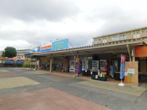 ビッグ・エー 東大和芝中団地店の画像